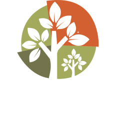 Bosque San Miguel